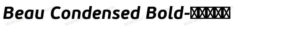 Beau Condensed Bold字体转换